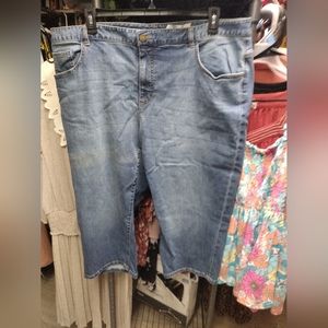 Chaps Jean Capri. size 22W